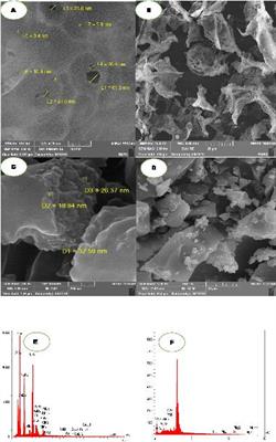 Polyethyleneimine (PEI) Functionalized Metal Oxide Nanoparticles Recovered From the Catalytic Converters of Spent Automotive Exhaust Systems and Application for CO2 Adsorption